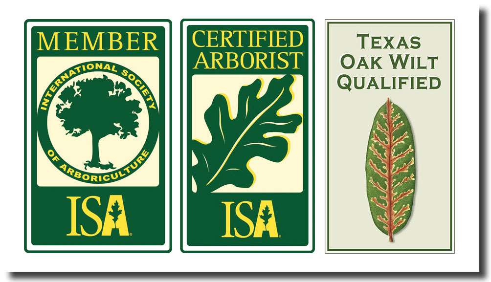 ISA certifications