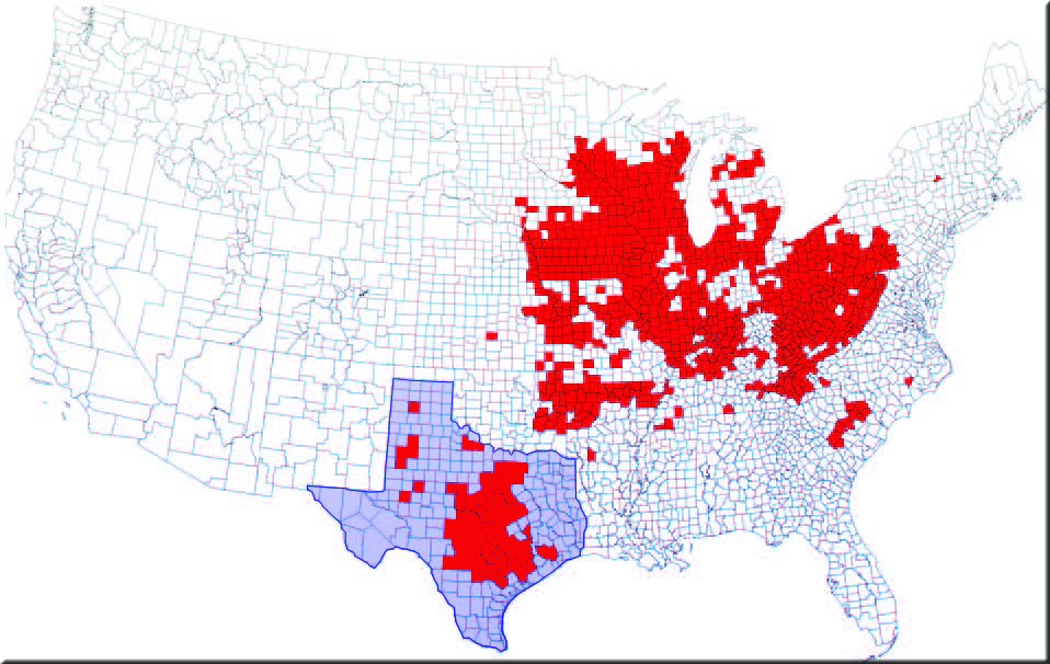 Oak Wilt distribution in the United State