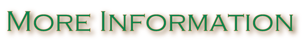 More Informatio