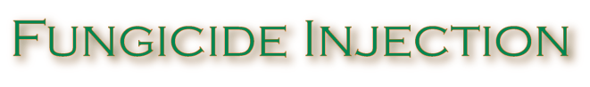 Fungicide Injectio